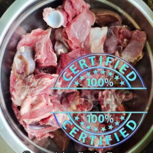 BlackBengal Kochi Khasi