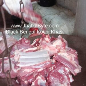 Black Bengal Kochi Khasi